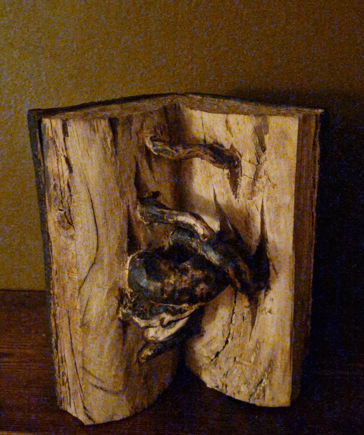 Yn ôl at fy Ngwreiddiau 