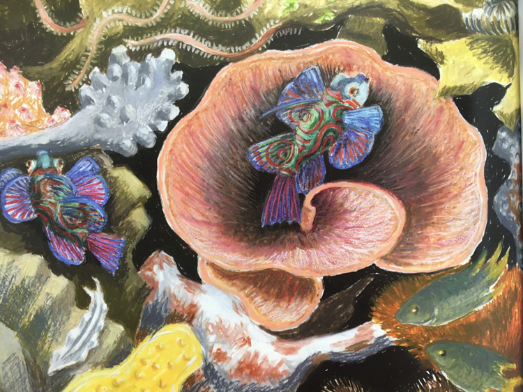 Tropical reef