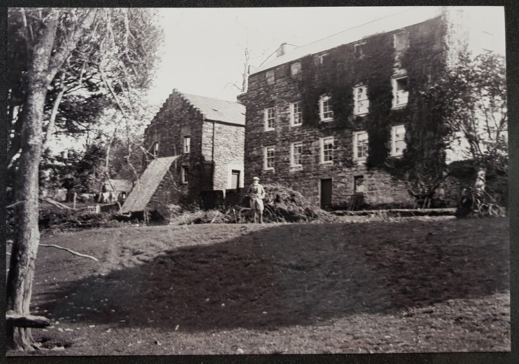 Plas Brondanw